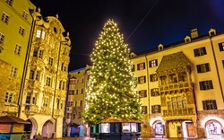 Beleuchteter Weihnachtsbaum auf einem historischen Platz bei Nacht.