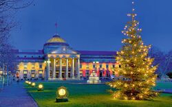 Weihnachtsbeleuchteter Baum vor einem historischen Gebäude bei Nacht