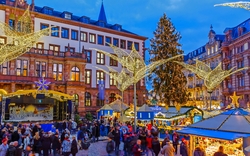 Weihnachtsmarkt mit festlichen Lichtern und geschmücktem Baum am Abend.