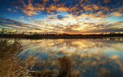 Sonnenuntergang über einem See mit Wolkenspiegelung und Schilf im Vordergrund.
