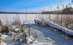 Verschneiter See mit Schilfgras im Vordergrund und blauem Himmel.