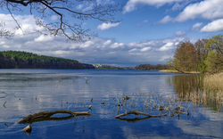 See mit bewölktem Himmel und Wald am Ufer im Frühling.