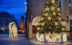 Weihnachtsbaum und Rentierfigur mit Lichtern auf einem Platz bei Dämmerung.