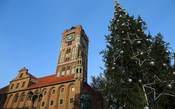 Altes Rathaus mit Weihnachtsbaum in Toruń, Polen, in der Woiwodschaft Kujawien-Pommern im Winter.