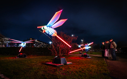 Leuchtende Libellenskulpturen bei Nacht, umgeben von Zuschauern im Hintergrund.