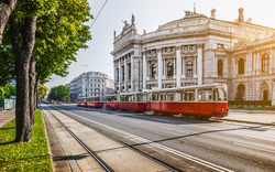 Straßenbahn fährt vor einem historischen Gebäude entlang einer Allee.