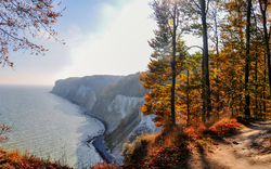 Blick auf eine Küstenlandschaft mit Kreidefelsen und Bäumen im Herbst.