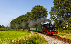 Dampflok mit grünen Waggons fährt durch grüne Landschaft.