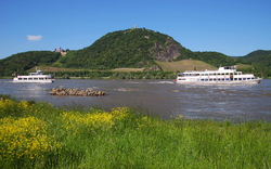 Zwei Flussdampfer fahren auf einem Fluss vor einer bewaldeten Hügelkulisse.