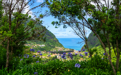 Küstenlandschaft mit Blumen und Meerblick durch Bäume.