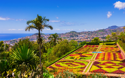 Botanischer Garten mit Blick auf eine Stadt und das Meer im Hintergrund.